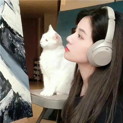 我家有个赵大咪